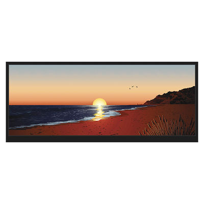 Layar LCD HDMI Dapat Dibaca Sinar Matahari 12,3 Inci 1920x720 LCM-TFT123T61FHHDVNSDC